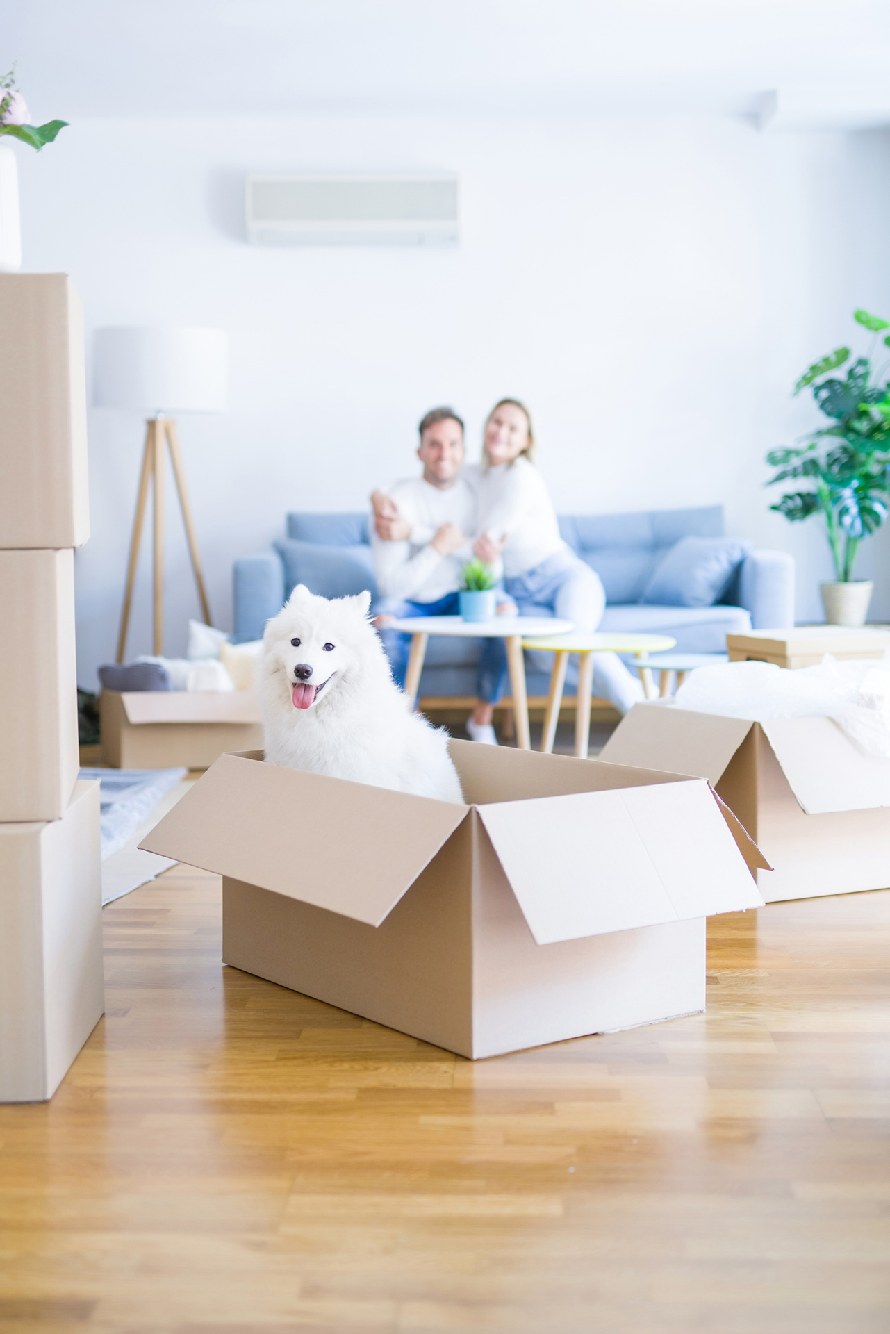 sitting-on-the-sofa-at-new-home